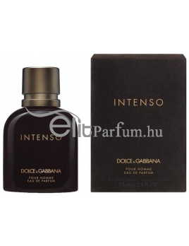 Dolce & Gabbana (D&G) Intenso pour homme férfi parfüm (eau de parfum) edp 75ml