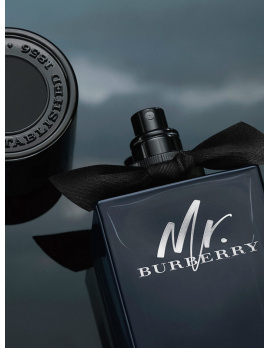 Burberry - Mr. Burberry EDP (M)