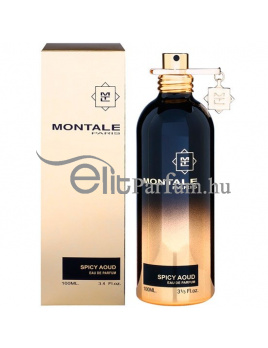 Montale Paris Spicy Aoud unisex parfüm (eau de parfum) Edp 100ml