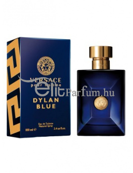 Versace Pour Homme Dylan Blue férfi parfüm (eau de toilette) Edt 100ml