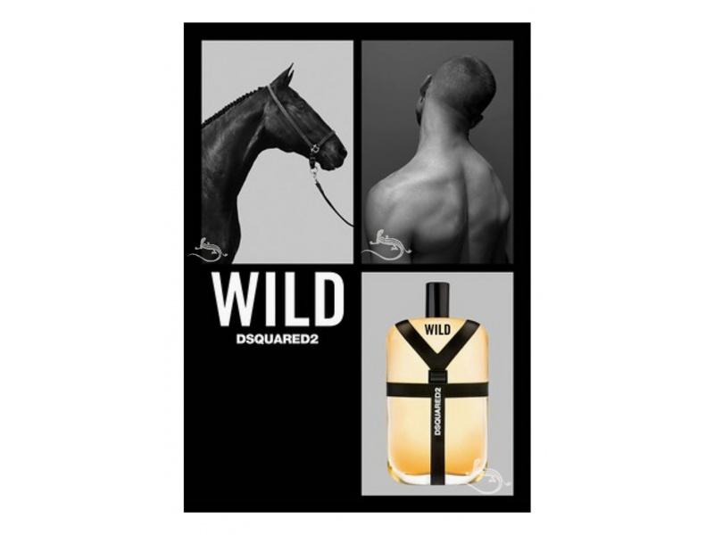 wild parfum dsquared2