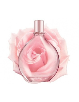 DKNY - Pure A Drop of Rose (W)