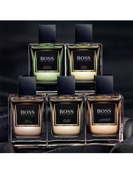 Hugo Boss - The Collection (M)