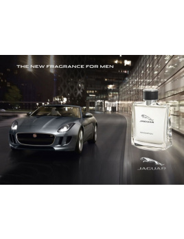 Jaguar - Innovation (M)
