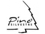 Pino Silvestre