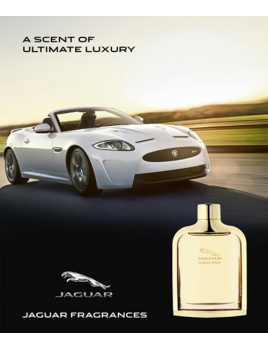 Jaguar - Classic Gold (M)