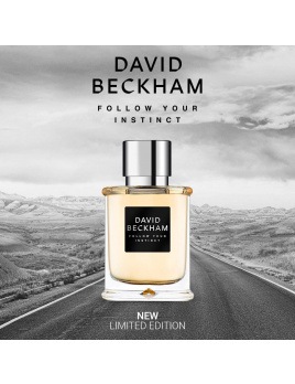 David Beckham - Follow Your Instinct (M)