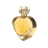 Elizabeth Arden -Untold Absolu (W)
