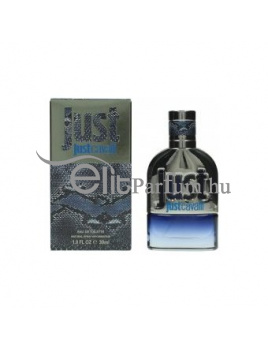 Roberto Cavalli Just Cavalli Just férfi parfüm (eau de toilette) Edt 30ml
