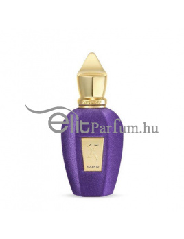 Xerjoff Accento unisex parfüm (eau de parfum) Edp 100ml