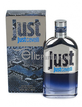 Roberto Cavalli Just Cavalli Just férfi parfüm (eau de toilette) Edt 90ml