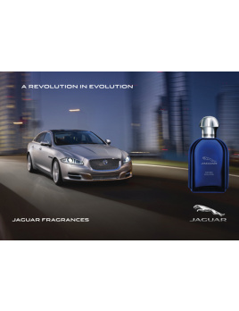 Jaguar - for Men Evolution (M)