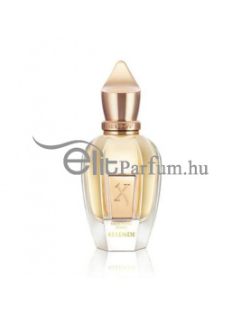 Xerjoff Allende unisex parfüm (eau de parfum) Edp 50ml teszter