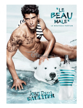Jean Paul Gaultier - Le BEAU Male (M)