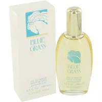 Elizabeth Arden - Blue Grass (W)